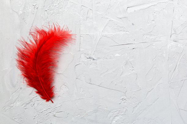 背景色彩鲜艳的染色鸟羽毛的彩色背景，顶视图。本空间图片下载