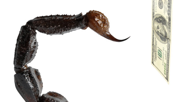 蝎子攻击美元图片下载