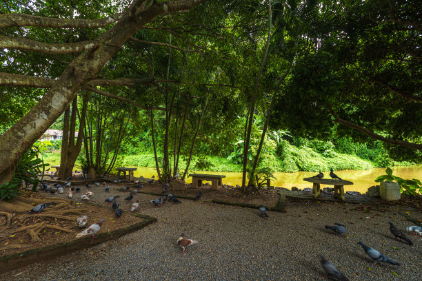 自然公园(Wat Umong Suan Puthanatham)是一座佛教寺庙，是泰国清迈绿色森林自然的主要旅游景点。图片下载