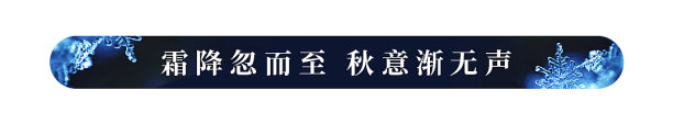 霜降二十四节气简约静物图文文章标题图片下载
