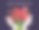 平面插图与女性的手和花束。国际妇女节图片下载