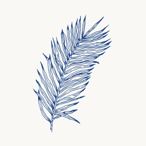 棕榈叶手绘复古雕刻夹艺术孤立的白色背景。图片下载