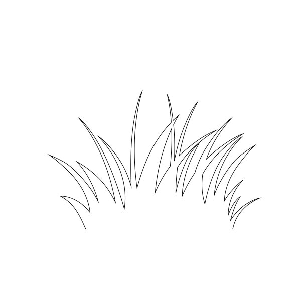 绿草孤立在白底，花图片下载