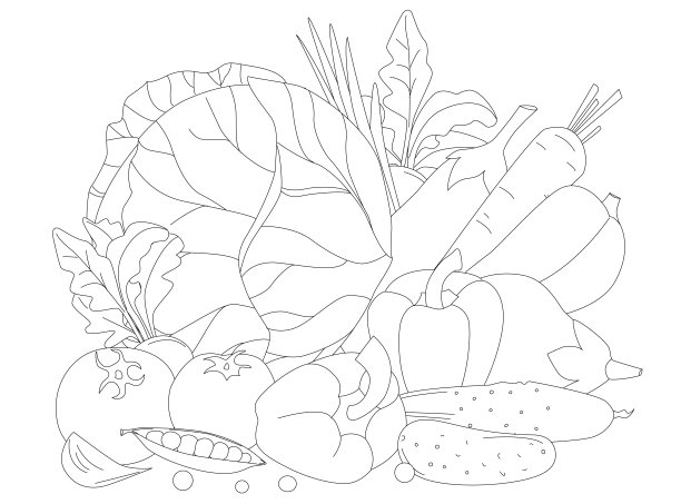 勾勒出一组新鲜蔬菜。茄子，西红柿，萝卜，辣椒，卷心菜，胡萝卜和黄瓜，为你的涂色书图片下载