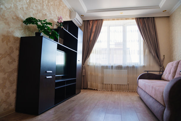 简单的客厅内部有沙发床和用于电视和存储的衣柜。图片下载