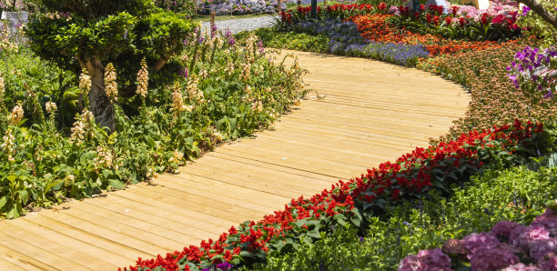 穿过花园的小路图片下载