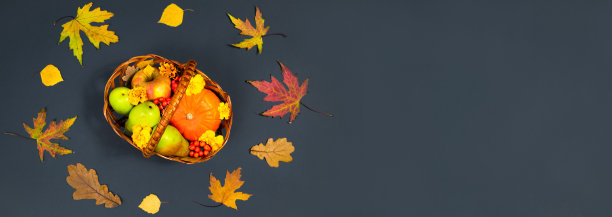 秋天的水果。篮子里装着南瓜、苹果、梨、花楸莓和黄花，框着美丽的秋叶。图片下载