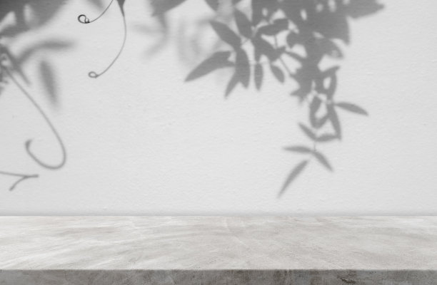 阴影树叶覆盖在背景上图片下载