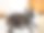 法国斗牛犬放松图片下载