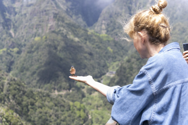 鸟从女人手里吃面包图片下载