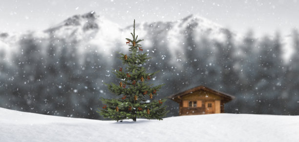 山上装饰的圣诞树图片下载