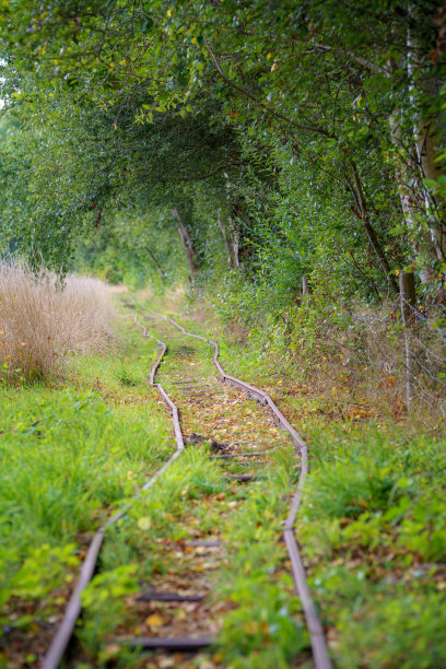 旧窄轨铁路在森林在前德国军用机场图片下载