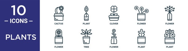 植物轮廓图标集包括细线仙人掌，三叶草，花，树，植物，植物，花图标报告，演示，图表，网页设计图片下载
