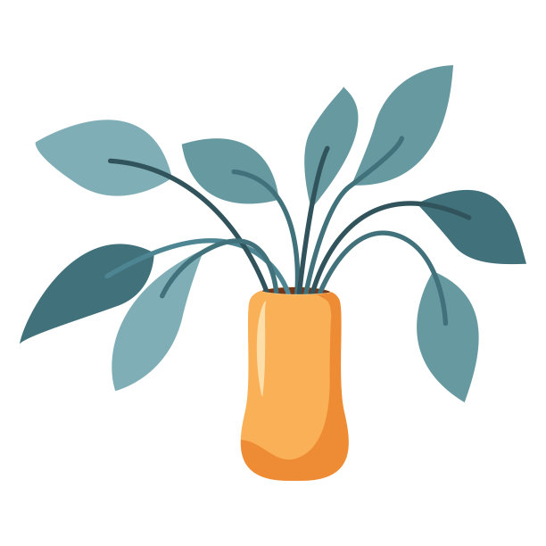 用于家庭或办公室室内装饰的植物。室内盆栽。图片下载