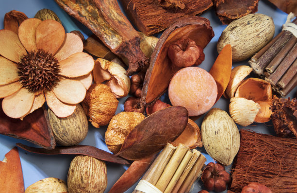 秋天背景与干南瓜，坚果，八角，橡子。干燥的树叶。自然的木棍。图片下载