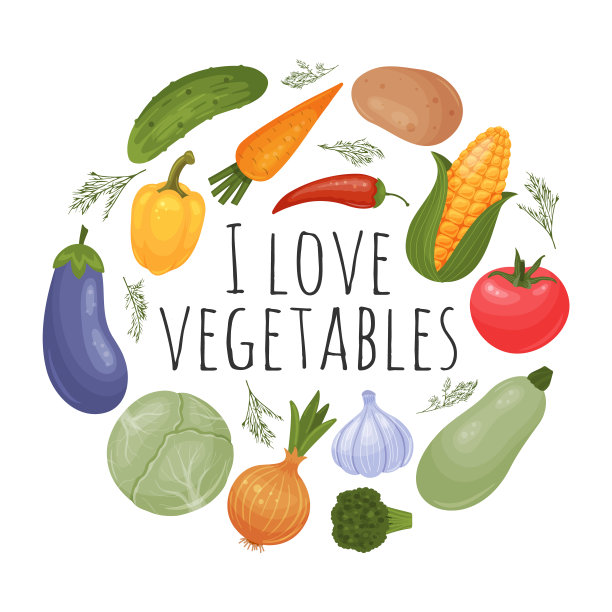 圆形的蔬菜。黄瓜、西红柿、洋葱、大蒜、辣椒、卷心菜、土豆、茄子、胡萝卜、玉米、南瓜、西兰花。食物矢量插图。孤立在白色的。卡通风格。图片下载