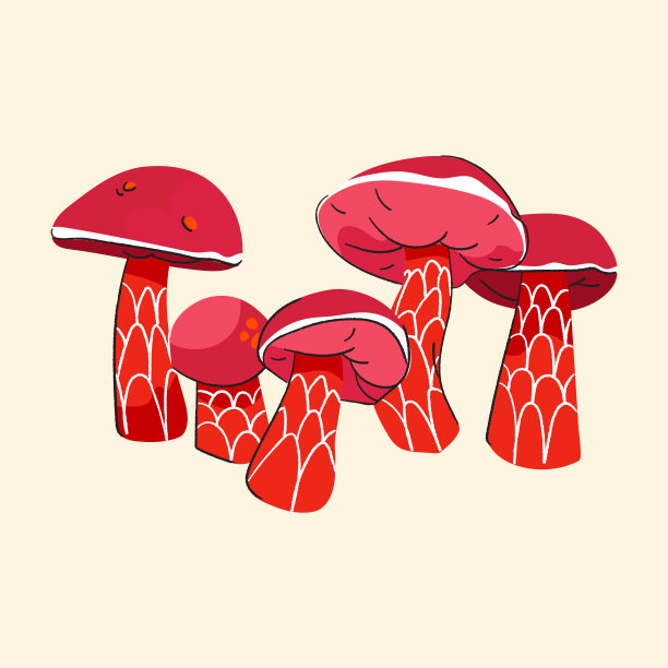 红色牛肝菌霜菌载体集孤立在米色背景。秋苹果玻耳菌扁平可爱插画图片下载