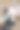 在大自然的背景下，装化妆品面霜、凝胶或乳液的瓶瓶罐罐。化妆品展示的背景。品牌模型的空白标签。皮肤护理的概念图片下载