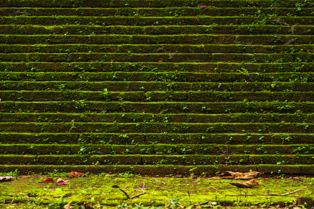 Wat Umong Suan Puthatham是泰国清迈的一座佛教寺庙。图片下载