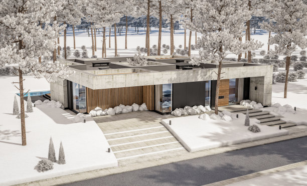 冬季现代风格的新混凝土房屋3d效果图图片下载