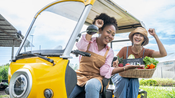 以订单业务为背景的快速送货服务汽车驾驶。篮子装新鲜蔬菜送货上门。速递服务。接受食品杂货盒的妇女。图片下载