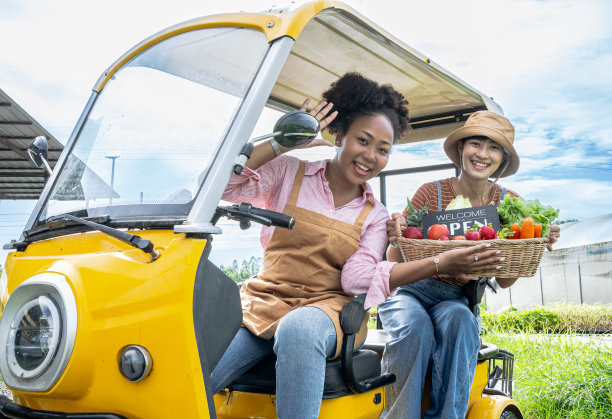 以订单业务为背景的快速送货服务汽车驾驶。篮子装新鲜蔬菜送货上门。速递服务。接受食品杂货盒的妇女。图片下载