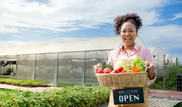 快乐的年轻非裔美国妇女抱着装满农场新鲜有机蔬菜的木箱。真实的照片，快乐的农民拿着篮子，新鲜收获的蔬菜和微笑。图片下载