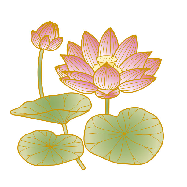 日本图案莲花图片下载