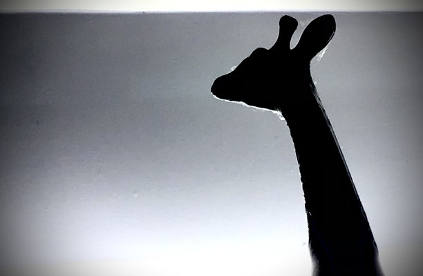 玩具长颈鹿图片下载