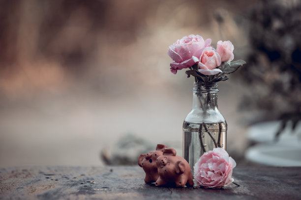 情人节照片素材ID：428964120