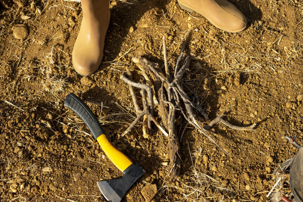 工人靴斧刷刷都是在地面上俯视水平照片图片下载