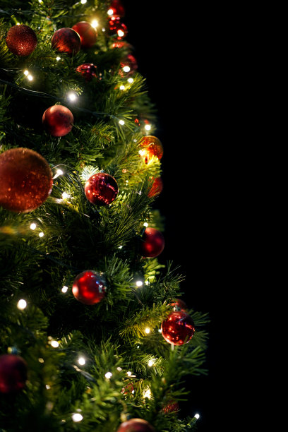 用球装饰圣诞树图片下载