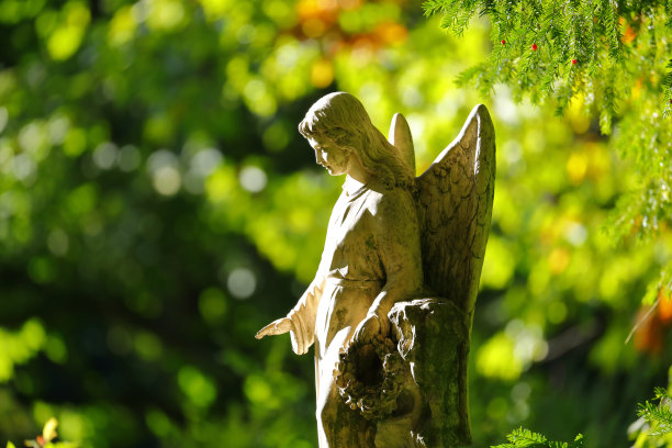 公墓里的古董天使雕像图片下载