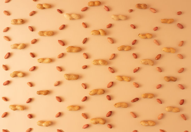 米色背景上的花生图案。平的。最小的概念。图片下载