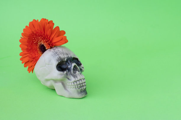 头骨与粉红色的花在头上就像一个朋克在绿色的背景..万圣节的朋克时尚想法..死圣的概念。图片下载