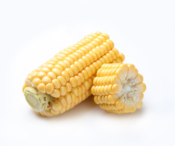 天然甜玉米组孤立的白色背景图片下载