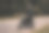 秋天，骑摩托车的男子戴着手套，手里拿着智能手机。图片下载