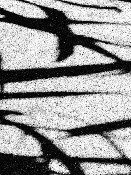 树叶的轮廓图片下载