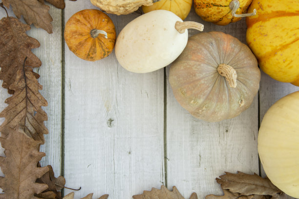 快乐万圣节复制空间南瓜背景，快乐万圣节节日概念。图片下载