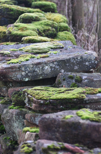 干石墙上的苔藓图片下载