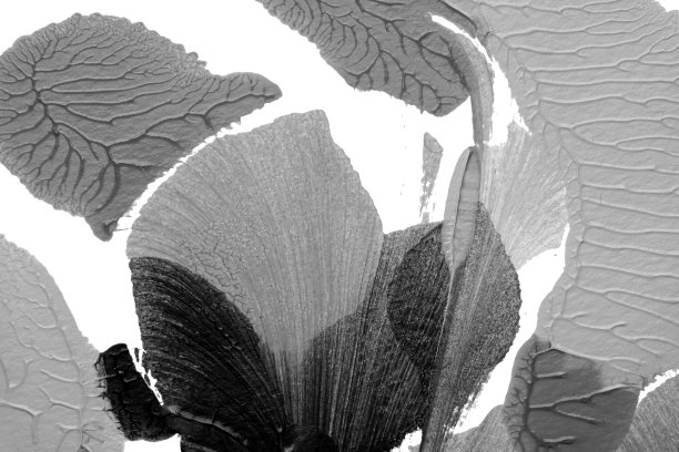 黑白抽象丙烯画色彩纹理在白纸背景上采用罗夏墨迹法图片下载