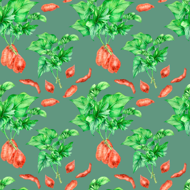 无缝图案的红薯灌木丛水彩插画孤立图片下载