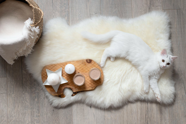 一杯咖啡，可可，放在木板上，还有蜡烛。地板上有一张羊皮，一只白猫和一个柳条篮子，上面有一条毯子。俯视图图片下载