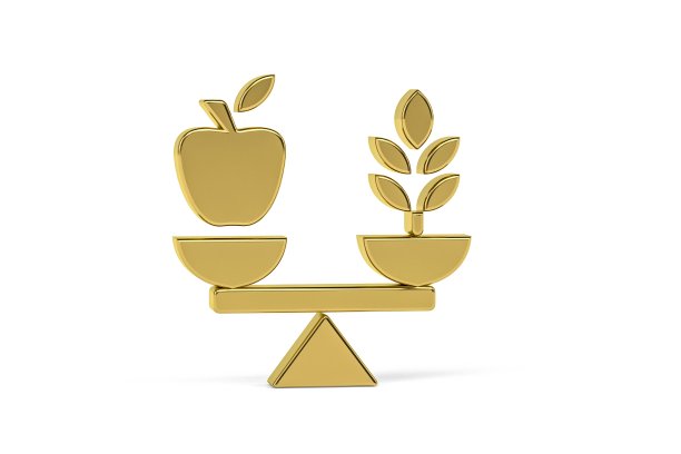 健康饮食的图标图片下载