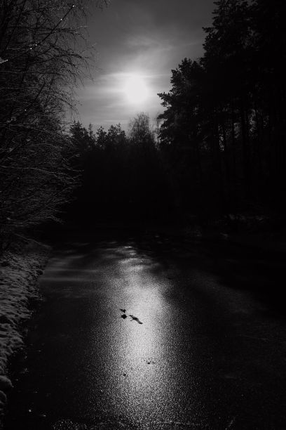 黑色和白色的图片，在夜间被树木包围的道路图片下载