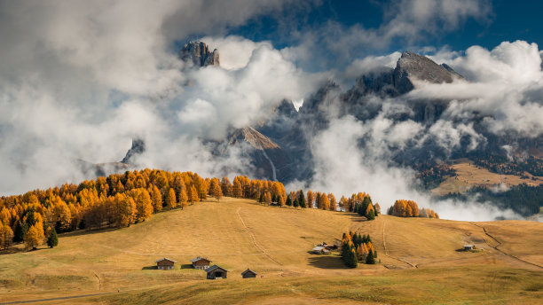 阴天下，高高的山上一排排的树木和乡村房屋的美丽景色图片下载