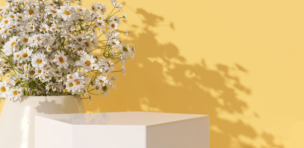 现代和优雅闪亮的彩虹形底座表雏菊花花瓶在阳光在黄色的墙背景图片下载