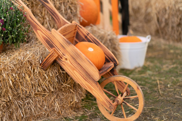 在农场里，一个南瓜放在一辆简陋的木车里，旁边是稻草捆。图片下载
