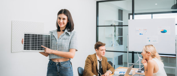 商界人士讨论太阳能电池板技术及太阳能环境概念的最新发展。图片下载