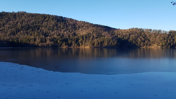湖边秋天树木的美丽照片图片下载